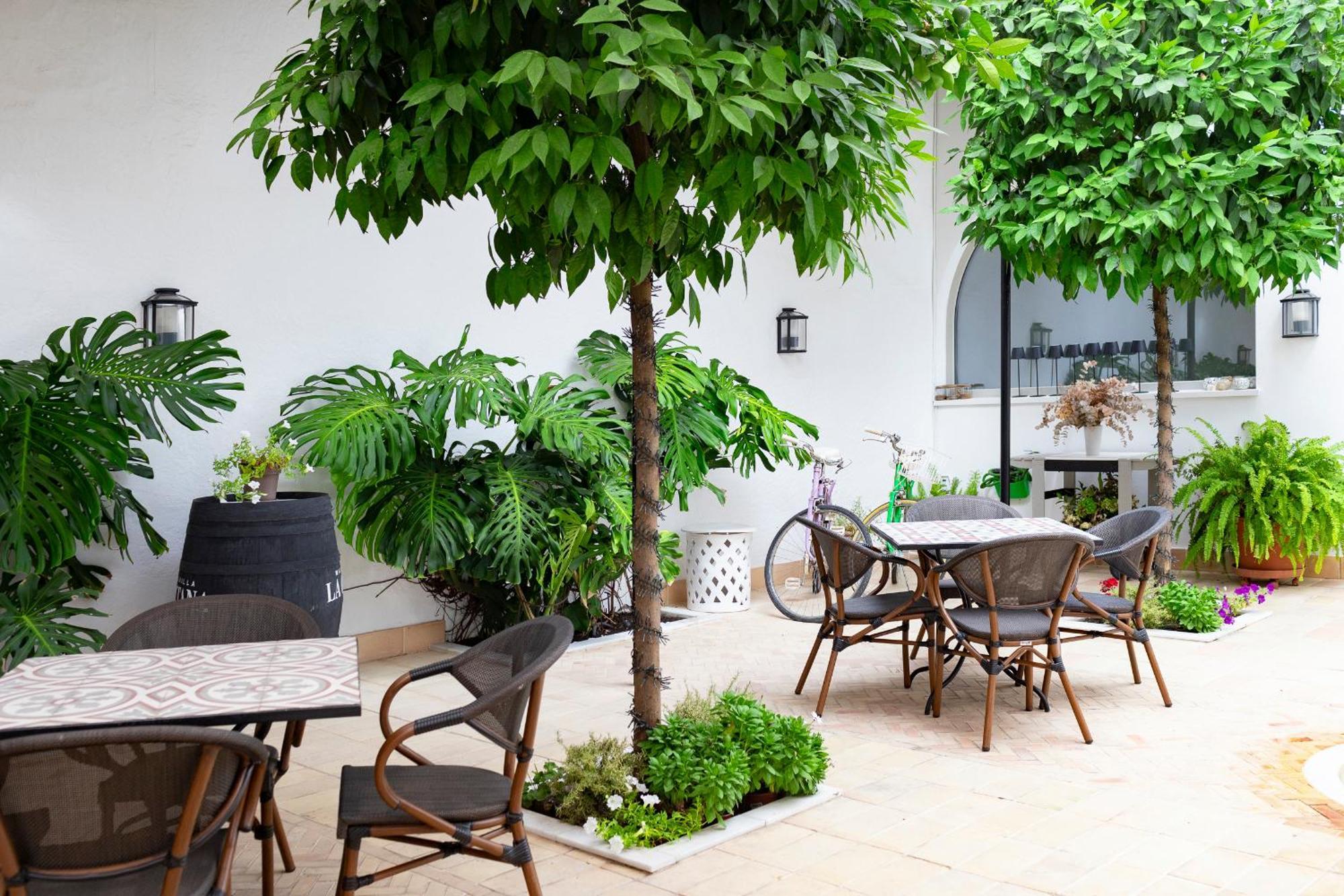 Albariza Hotel Boutique Sanlúcar de Barrameda Exteriér fotografie